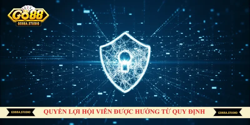 Quyền lợi hội viên được hưởng từ quy định