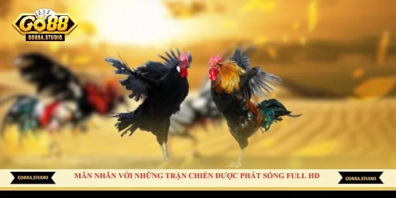 Mãn nhãn với những trận chiến được phát sóng full HD